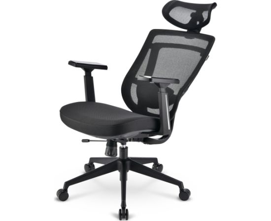 Sharkoon office chair OfficePal C20 (black)