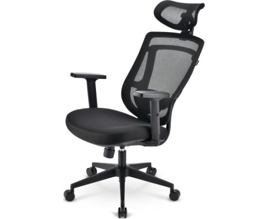 Sharkoon office chair OfficePal C10 (black)