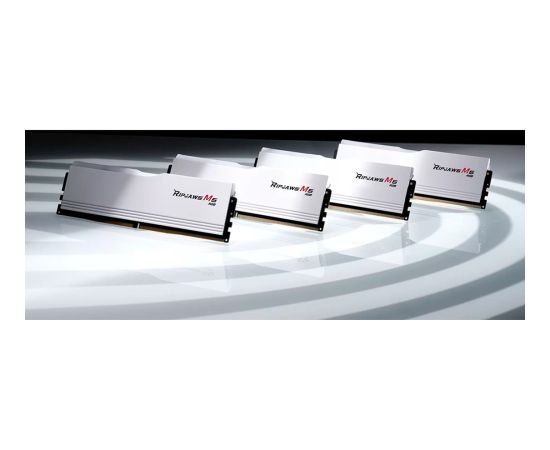 G.Skill DDR5 - 32GB - 6400 - CL - 36 (2x 16 GB) Dual-Kit (white, F5-6400J3648F16GX2-RM5RW, Ripjaws M5, INTEL XMP)