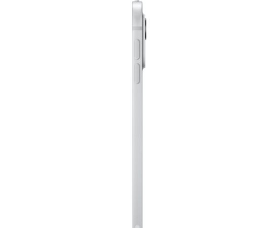 Apple iPad Pro 11" (2 TB), tablet PC (silver, Gen 5 / 2024 / nano-texture glass)
