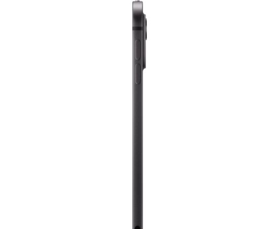 Apple iPad Pro 11" (256 GB), tablet PC (black, 5G / Gen 5 / 2024)