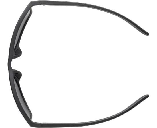 Alpina Sports Stream / Pelēka / Violeta