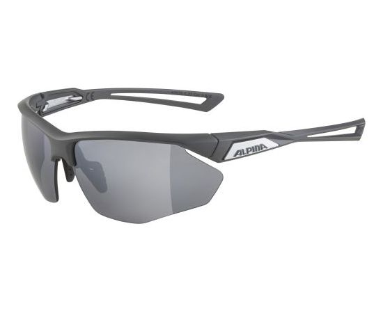 Alpina Sports Nylos HR CM / Pelēka / Sudraba