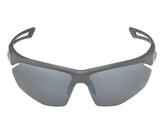 Alpina Sports Nylos HR CM / Pelēka / Sudraba