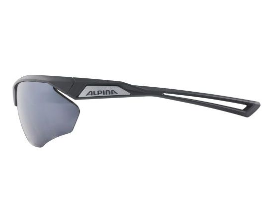Alpina Sports Nylos HR CM / Pelēka / Sudraba
