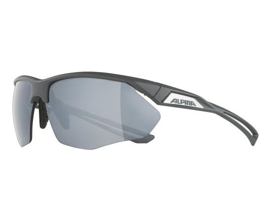 Alpina Sports Nylos HR CM / Pelēka / Sudraba