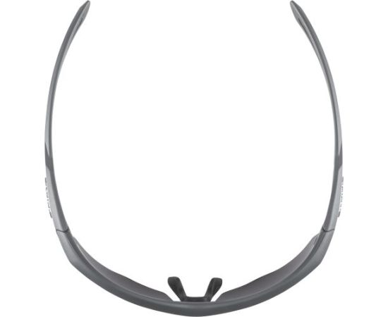 Alpina Sports Nylos HR CM / Pelēka / Sudraba