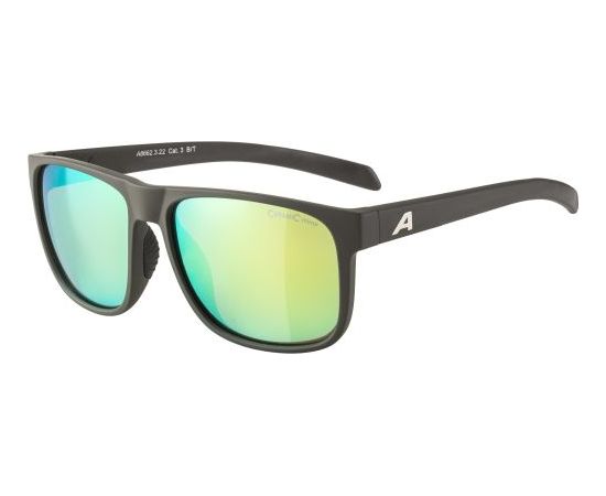 Alpina Sports Nacan III CM / Pelēka / Dzeltena