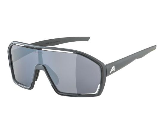 Alpina Sports Bonfire CM / Pelēka / Melna