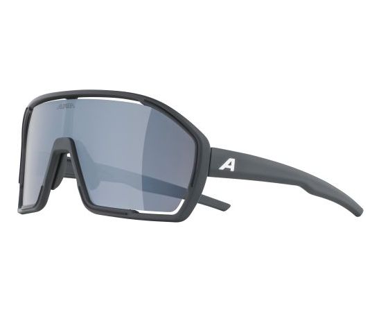 Alpina Sports Bonfire CM / Pelēka / Melna