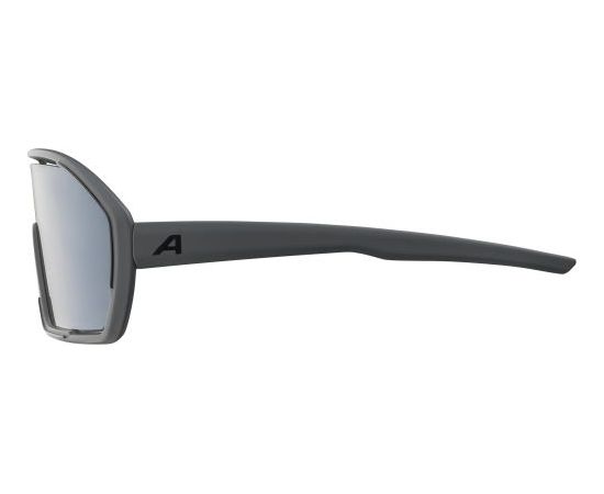 Alpina Sports Bonfire CM / Pelēka / Melna