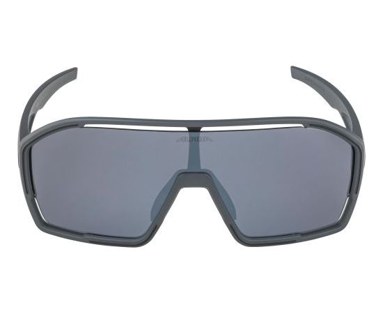 Alpina Sports Bonfire CM / Pelēka / Melna