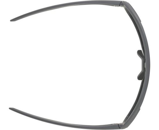 Alpina Sports Bonfire CM / Pelēka / Melna