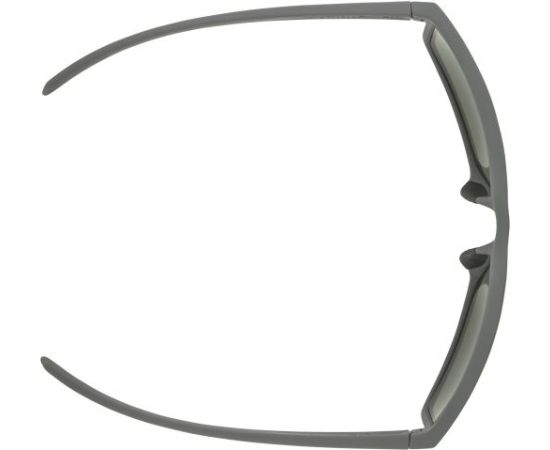 Alpina Sports Nacan I P / Pelēka / Zaļa