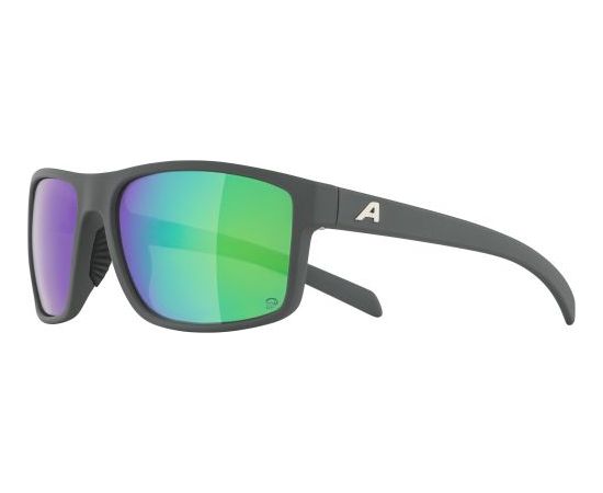 Alpina Sports Nacan I P / Melna / Zila