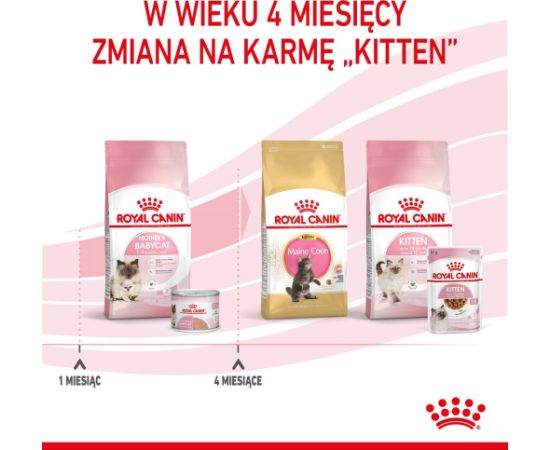 Royal Canin BABYCAT INSTINCTIVE - Wet cat food - 195 g