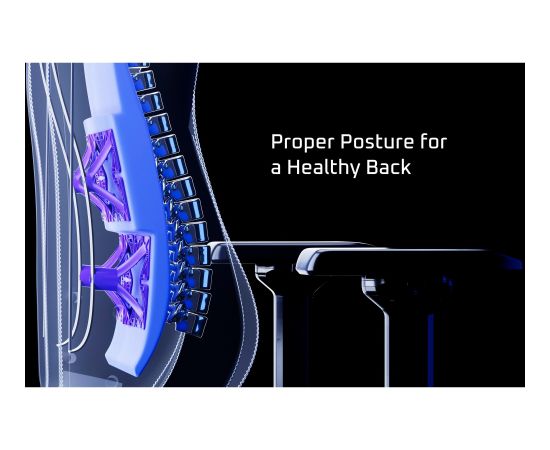 Vertagear PL4800, gaming chair (black/carbon, ContourMax Lumbar, VertaAir, Hygennx)