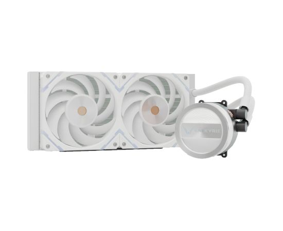 Valkyrie Dragonfang 240 ARGB, water cooling (white)