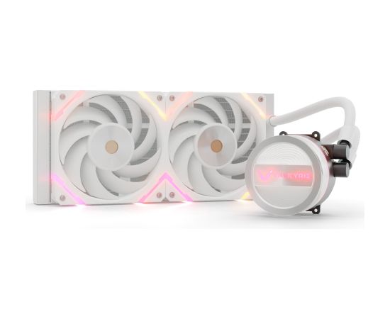 Valkyrie Dragonfang 240 ARGB, water cooling (white)