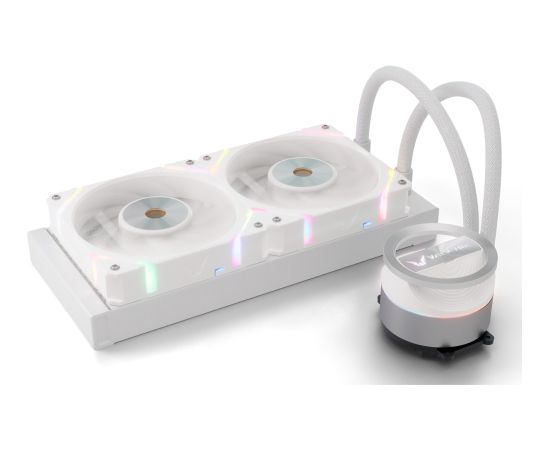 Valkyrie Dragonfang 240 ARGB, water cooling (white)