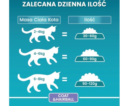 PURINA One Bifensis Coat & Hairball Chicken - dry cat food - 800 g