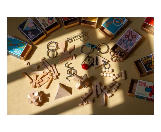 RECENT TOYS Логическая игра Brain Matches