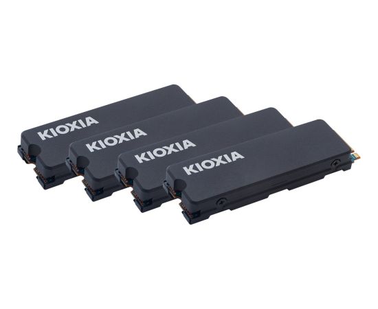 Kioxia Exceria with Heatsink 4 TB, SSD (PCIe 4.0 x4, M.2 2280)