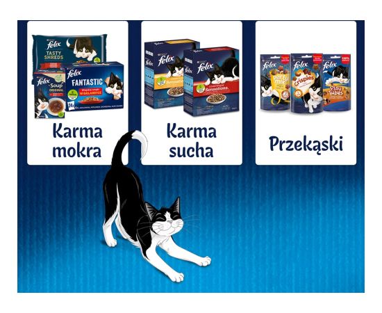Purina Felix Sensations country flavors in jelly 24 x 85 g