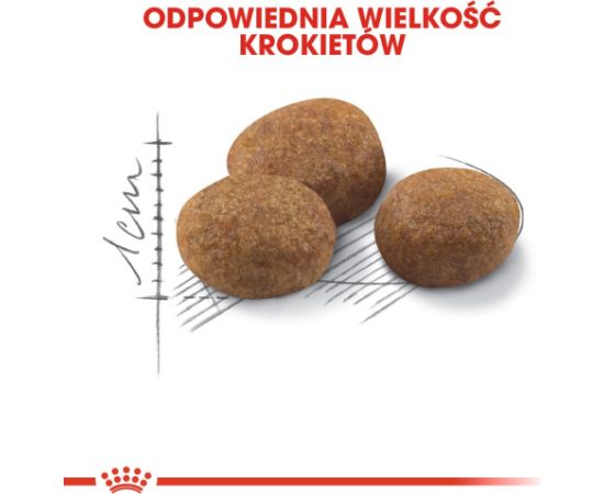 ROYAL CANIN Sterilised 7+ - dry cat food - 10 kg