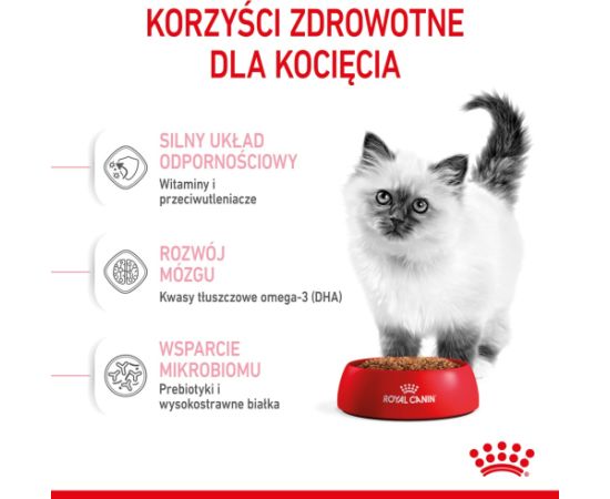 Royal Canin Kitten cats dry food 10 kg