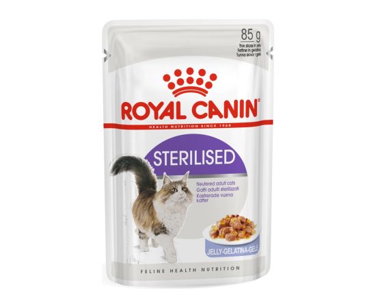 ROYAL CANIN FHN Sterilised in sauce - wet food for adult cats - 12x85g