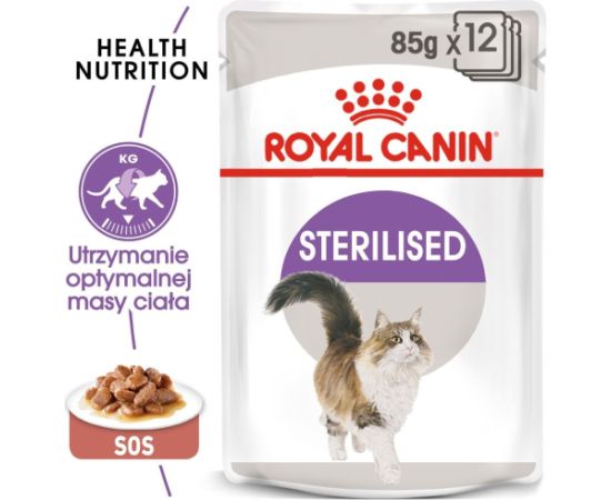 ROYAL CANIN FHN Sterilised in sauce - wet food for adult cats - 12x85g