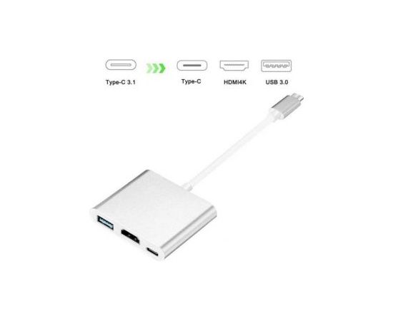 iLike   HD1 3in1 USB-C (Type-C) Plug to HDMI 4K / USB 3.0 / USB-C Female Audio&Video Cable Adapter Silver