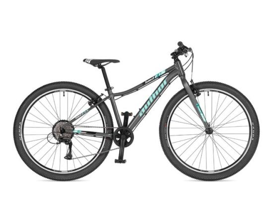 Author Limit 27.5 Ritual Silver 14''