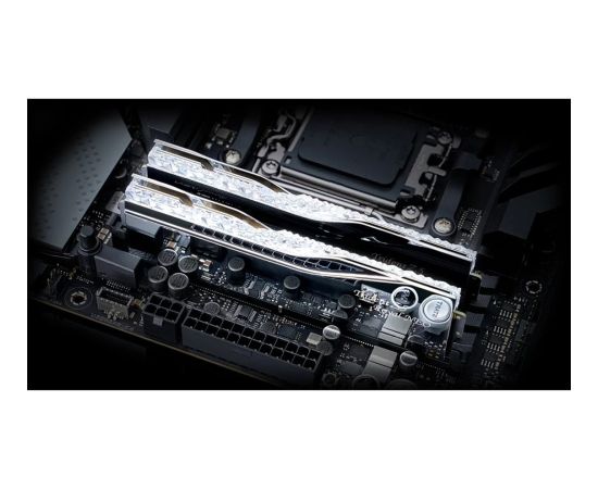 G.Skill DDR5 - 32GB - 6400 - CL - 32 (2x 16 GB) Dual Kit, memory (silver, F5-6400J3239G16GX2-TR5NS, Trident Z5 Royal Neo, AMD EXPO)