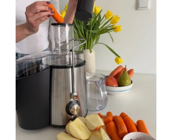 MPM MSO-18-M Juicer 1000 W Black, Silver
