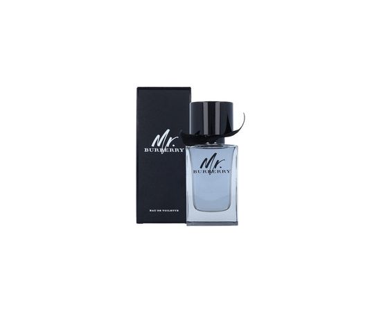 Mr. Burberry EDT 100ml