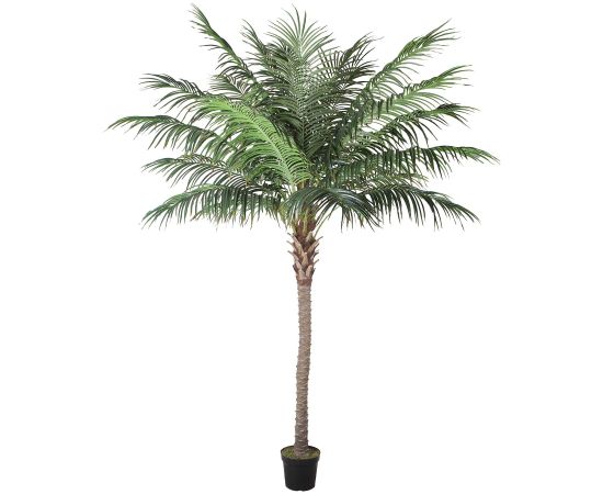 Mākslīgais koks WIND PALM H260cm