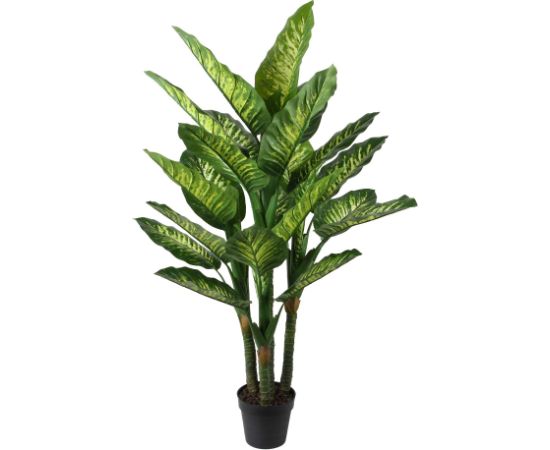 Mākslīgais augs WIND DIEFFENBACHIA H150cm