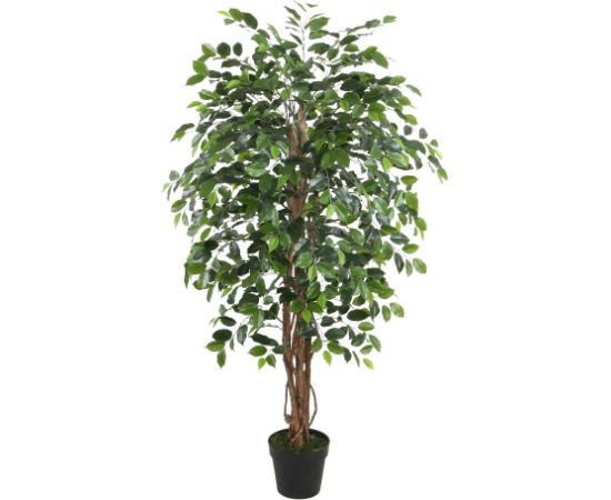 Mākslīgais koks WIND FICUS H150cm
