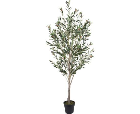 Mākslīgais koks WIND OLIVE  H180cm