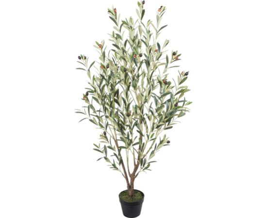Mākslīgais koks WIND OLIVE  H130cm