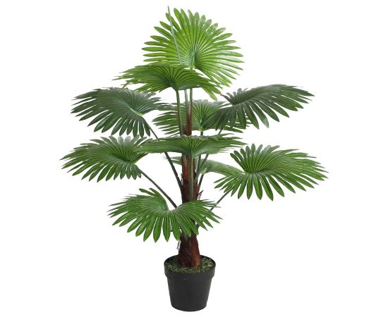 Zaļš augs FAN PALM, H100cm