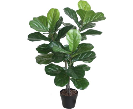 Mākslīgs koks FIDDLE LEAF H100cm, melns puķupods
