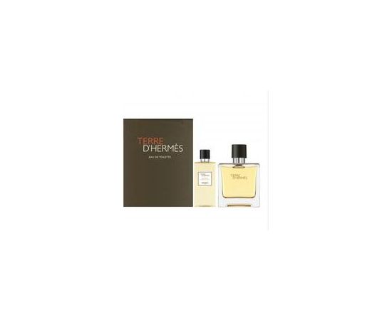 Terre D´Hermes EDT SET 100 ml + 80 ml shower gel 100ml