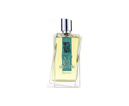 Morph Pure Soul EDP 100ml