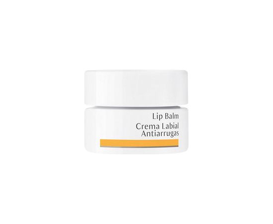 Dr. Hauschka Lip Balm 4.5ml