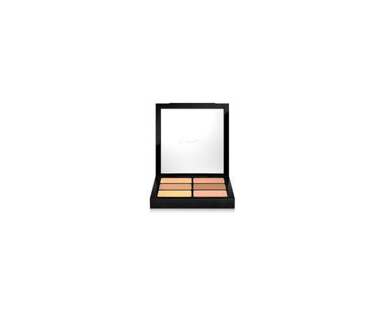 MAC Pro Conceal and Correct Palette - Palette for brightening the face 6 g Deep