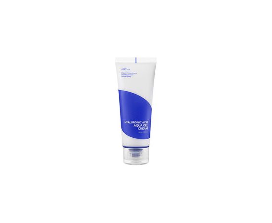 Isntree Hyaluronic Acid Aqua Gel Cream 100ml