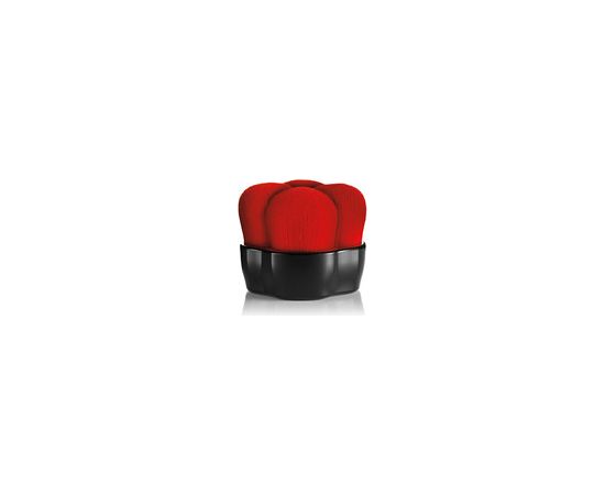 Shiseido Hanatsubaki Hake Polishing Face Brush